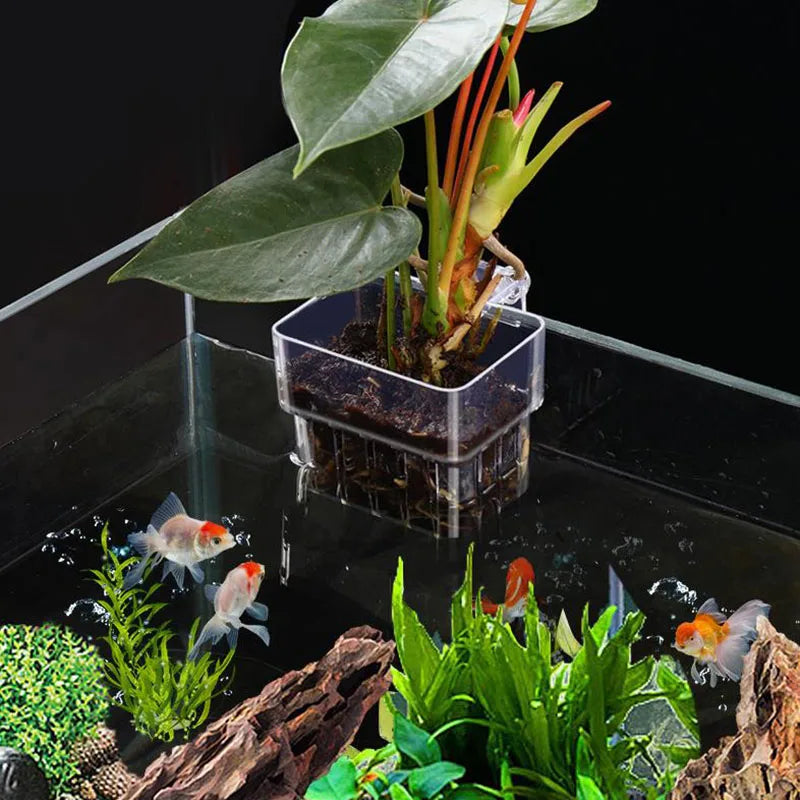 Accessoire aquarium pour suspendre des plantes