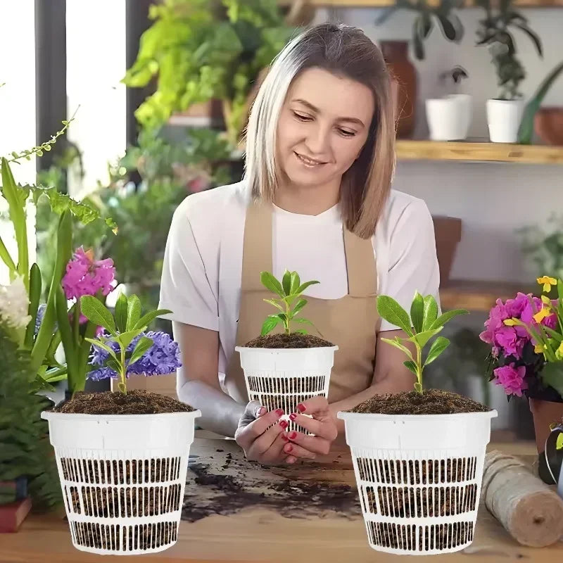 Pot à orchidées transparent jaune