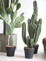 Fausse plante style arbre et cactus pour salon et extérieur