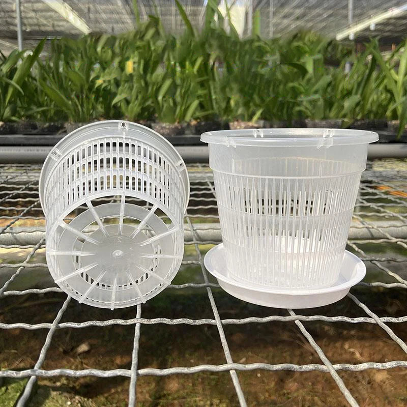 Comparaison des tailles 11cm et 14cm pour pots orchidées