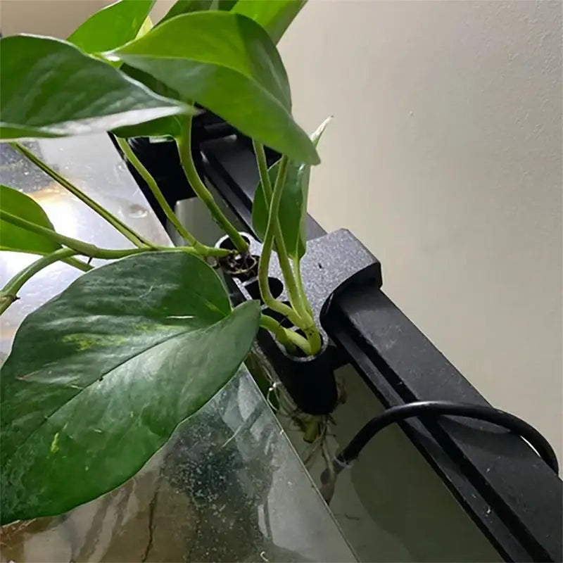 Accessoire décoration aquarium