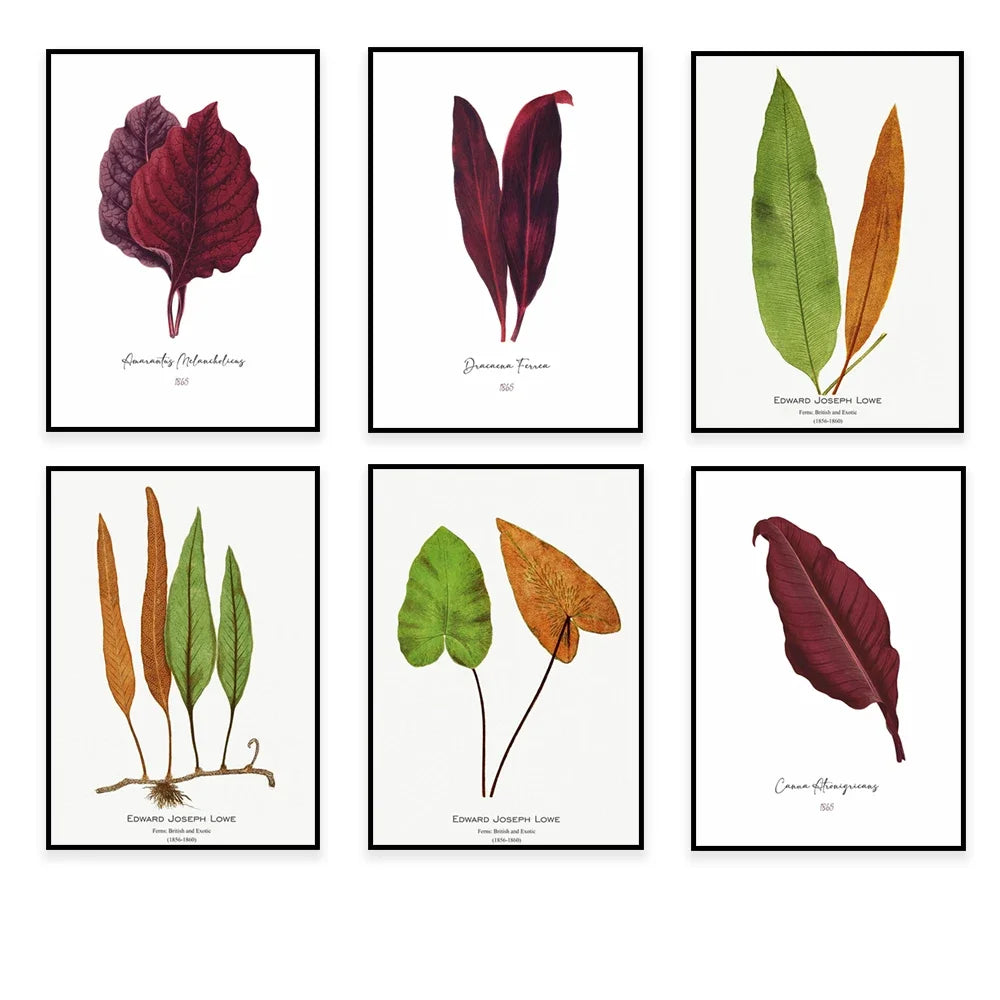 Cette image présente six illustrations botaniques de feuilles colorées et de formes variées, provenant des œuvres d'Edward Joseph Lowe, un botaniste britannique du 19e siècle.