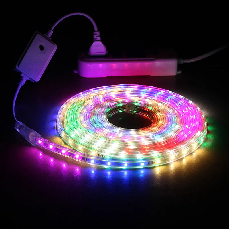Détail des LED SMD 5050 sur le ruban lumineux 220V