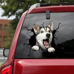 Sticker décoratif pour vitre de voiture avec motif chien en PVC bleu marine