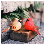 Deux cardinaux colorés perchés sur un rocher dans un environnement naturel.