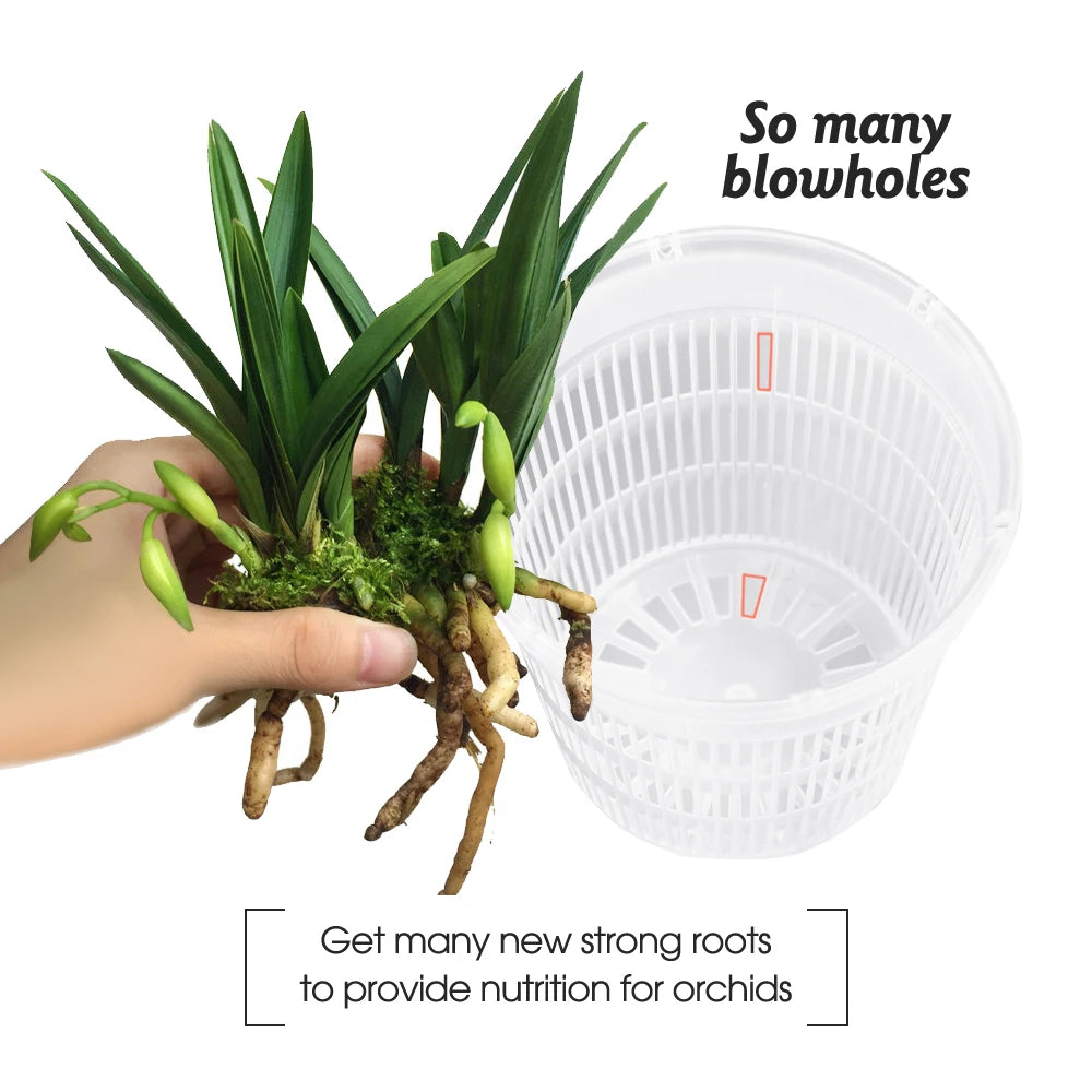 Lot de pots plastique transparent pour orchidées