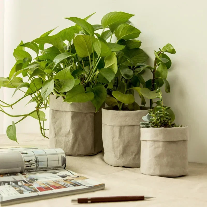 Cache pot en papier kraft blanc pour plante