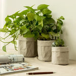 Cache pot en papier kraft blanc pour plante