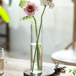 Vase cylindrique en verre transparent avec plante hydroponique