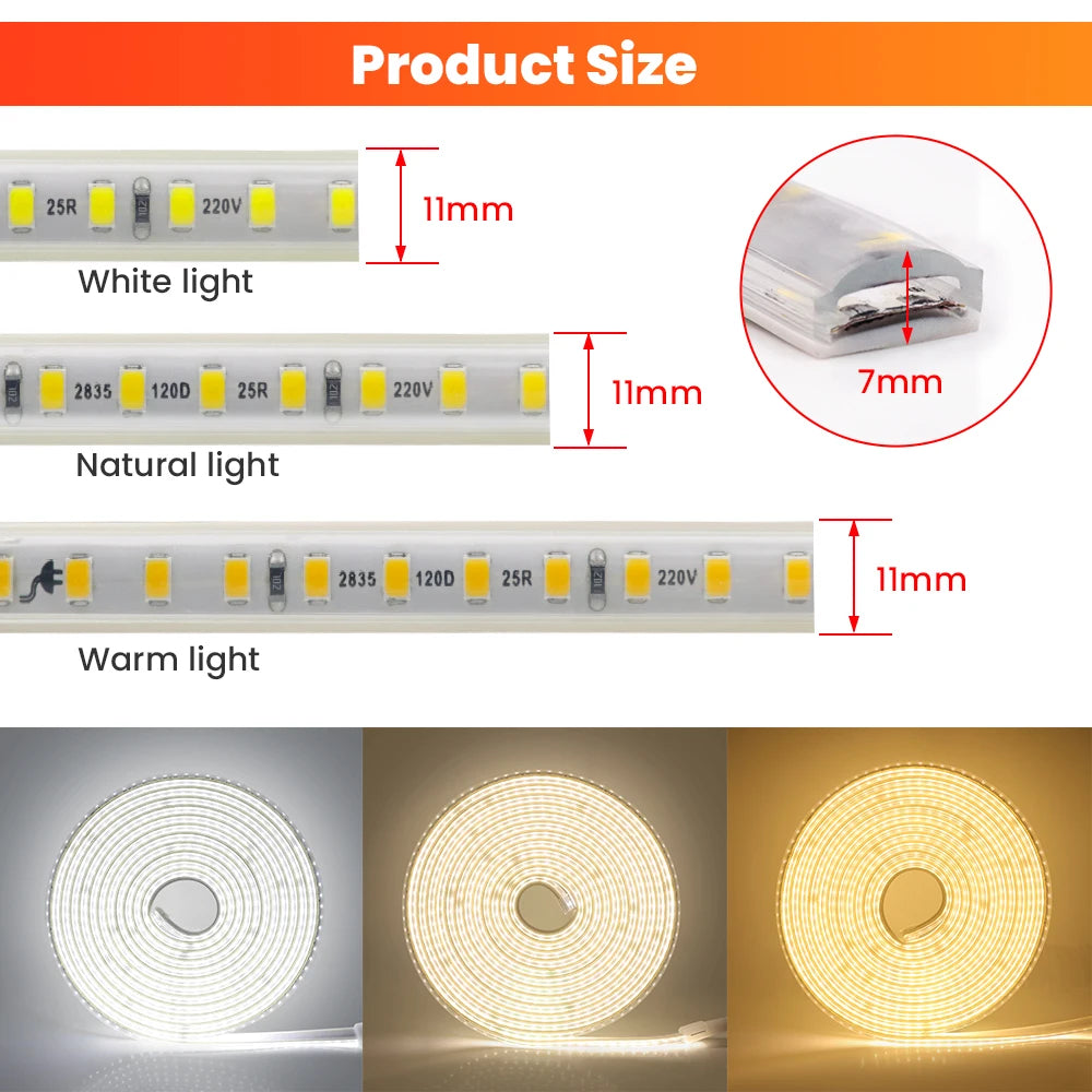 Ruban LED SMD2835 120LED/m en rouleau