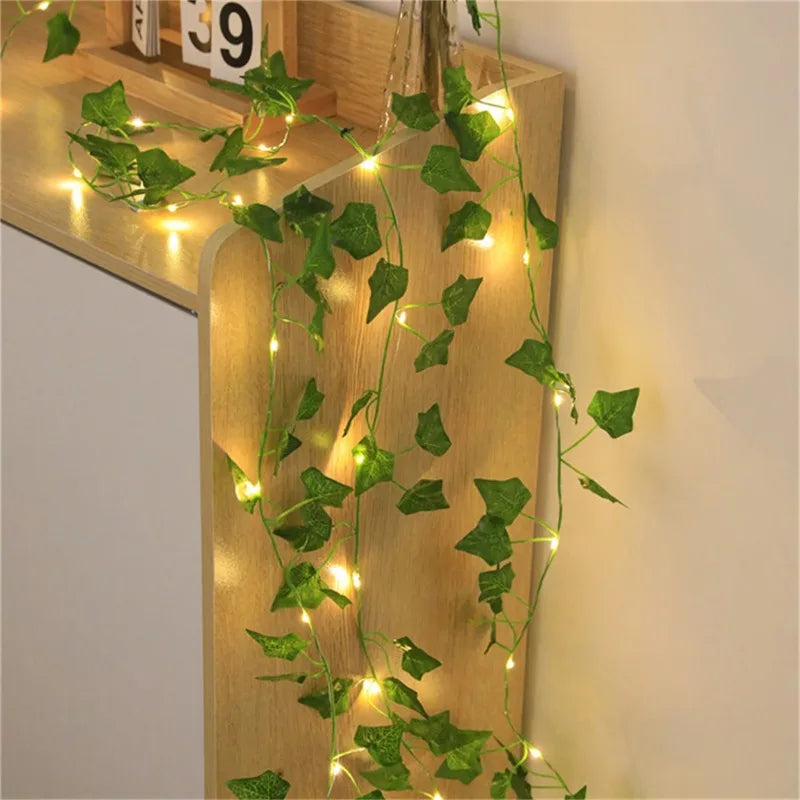 Guirlande lumineuse LED 5m pour mariage