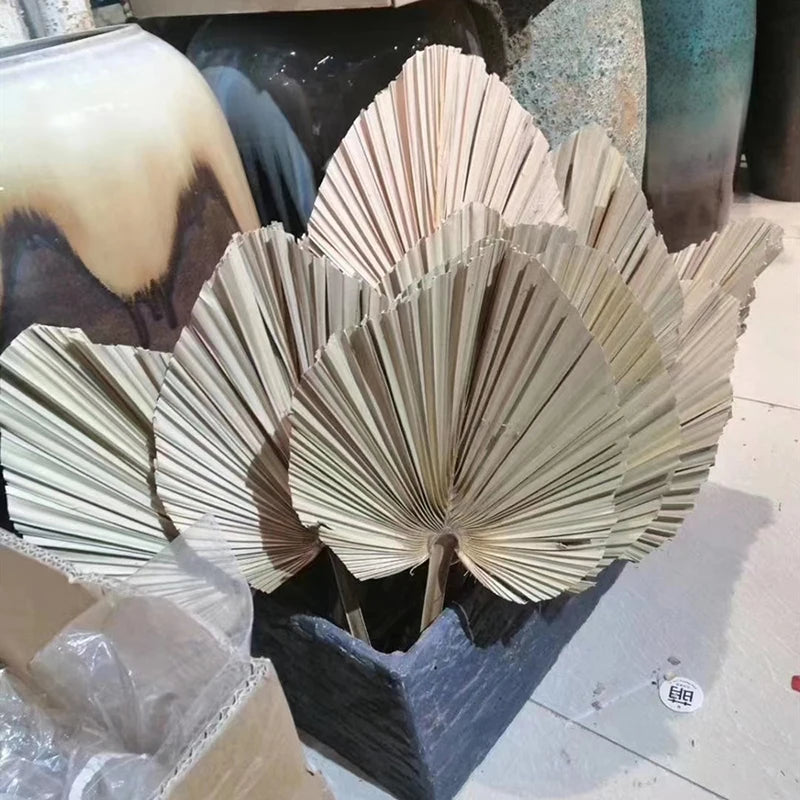 Ensemble de 3 feuilles de palmier naturelles pour décoration murale mariage