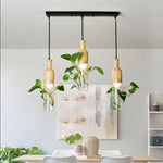 Suspension lumineuse en bois et verre pour plante, vue d'ensemble