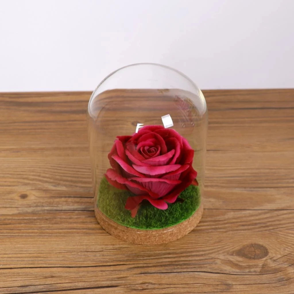 Terrarium en verre dans un intérieur moderne