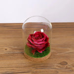 Terrarium en verre dans un intérieur moderne