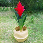 Panier suspendu avec plantes comme cache-pot décoratif