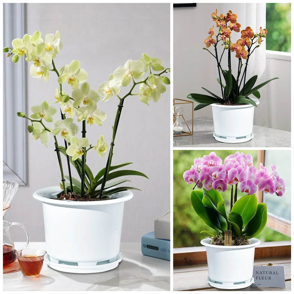 Pot de fleurs avec soucoupe pour décoration maison