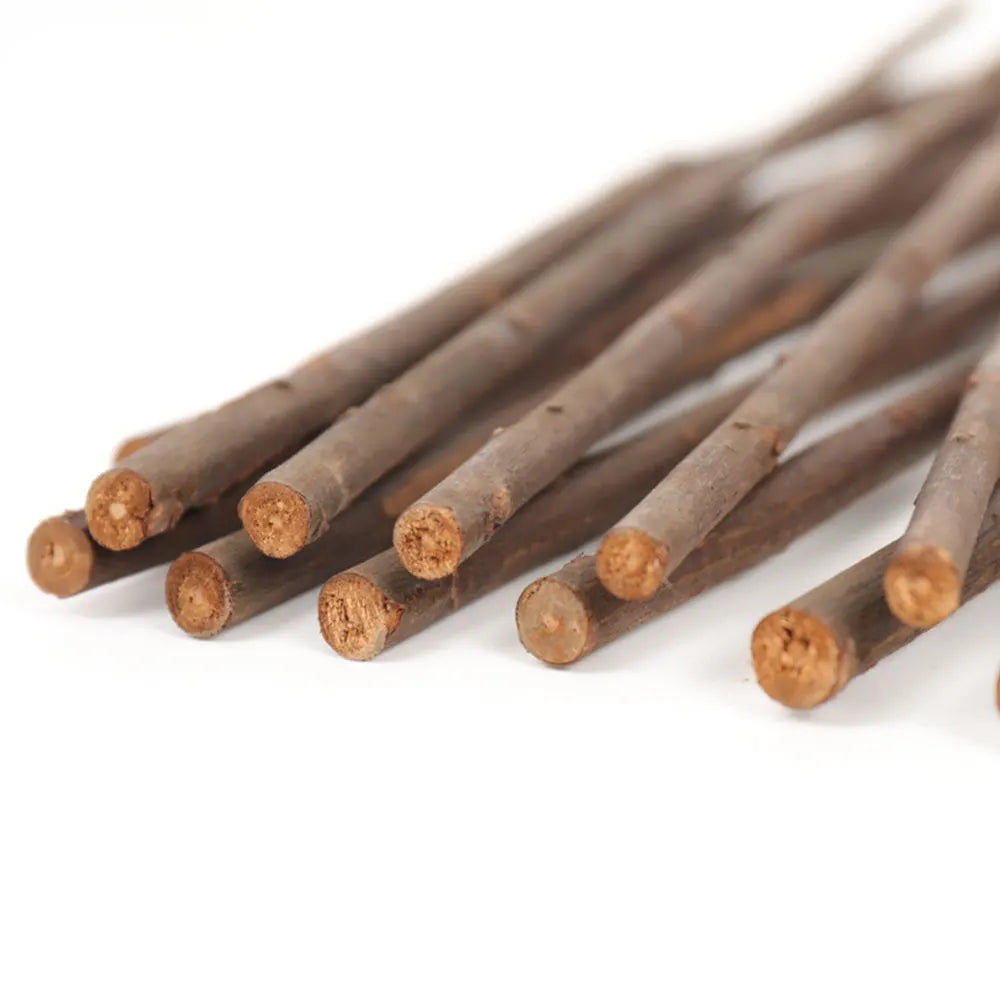 Treillis en saule extensible avec plantes grimpantes fleuries