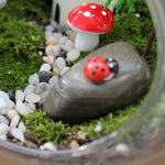 Bol à poissons en verre rond de décoration intérieure