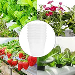 Pot respirant pour orchidées et cactus