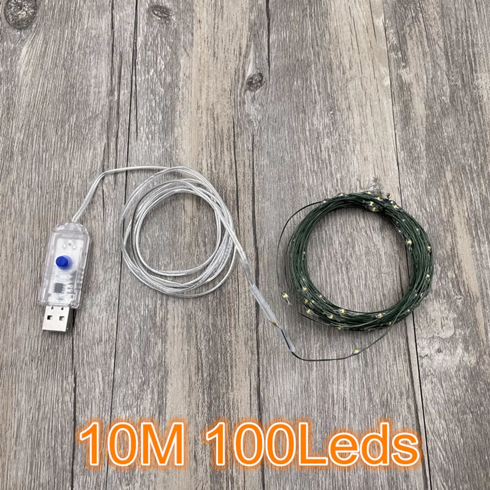 Détail des ampoules LED de la guirlande lumineuse 100m
