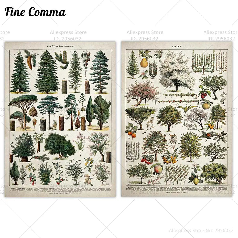 Toile arbre forêt vintage Larousse salon