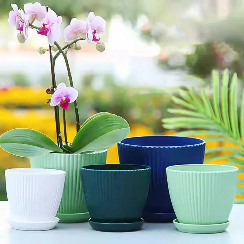 Cache-pot avec plantes succulentes et cactus en décoration bureau