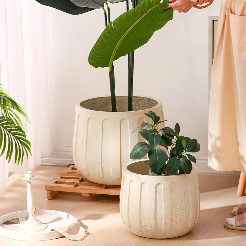 Jardinage intérieur avec pot en béton