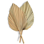 Décoration murale feuilles de palmier séchées