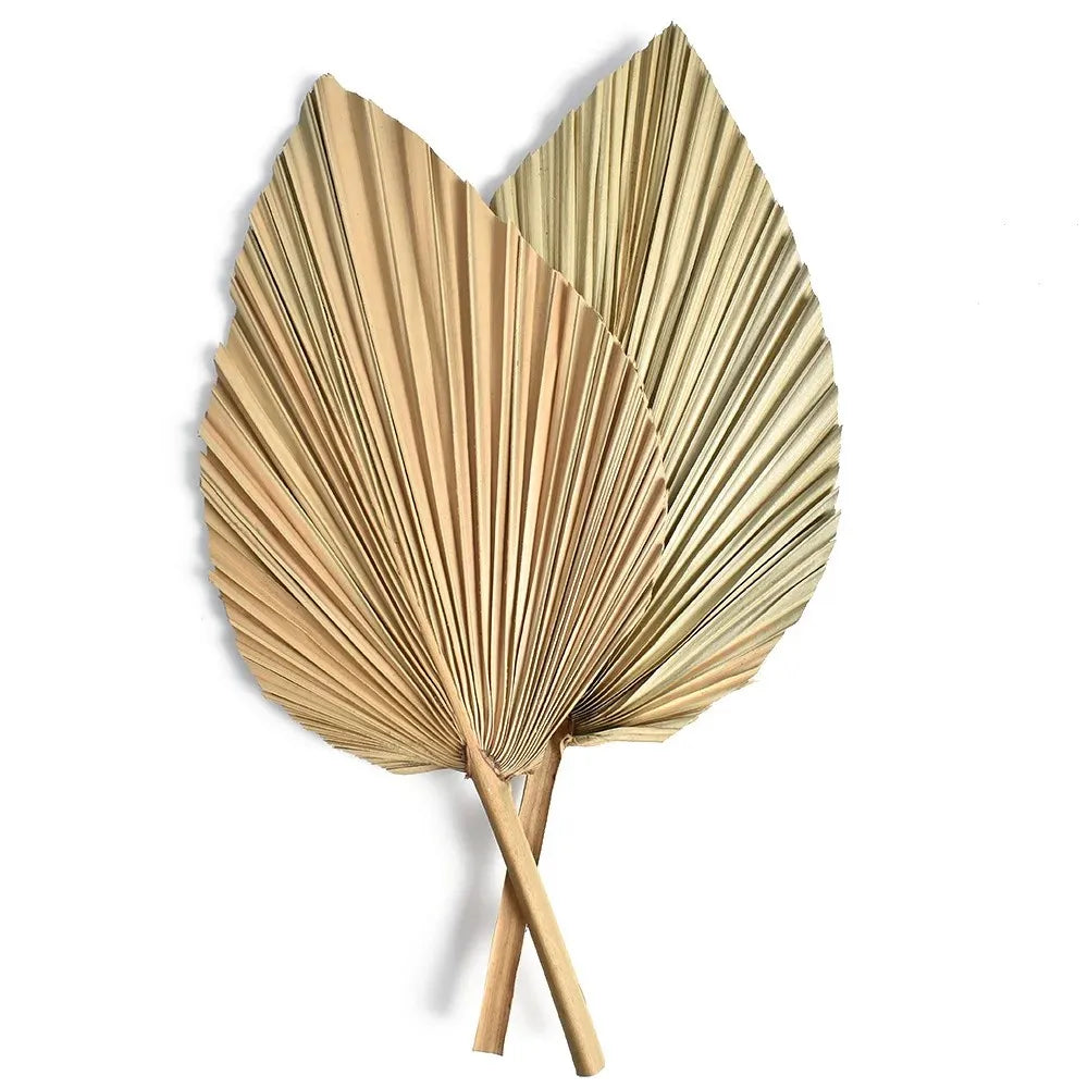 Décoration murale feuilles de palmier séchées