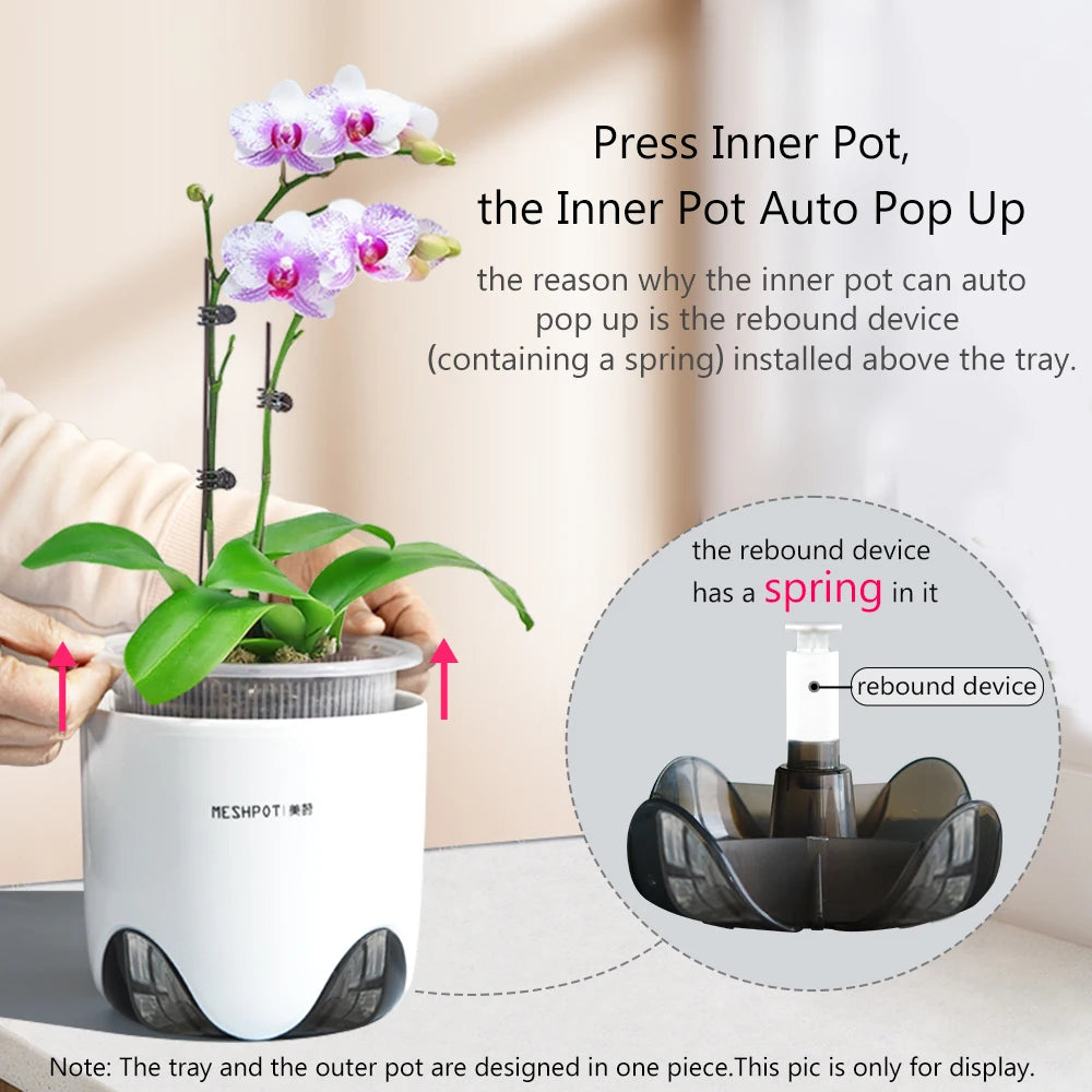 Pot d'orchidée transparent montrant les trous de drainage