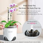 Pot d'orchidée transparent montrant les trous de drainage