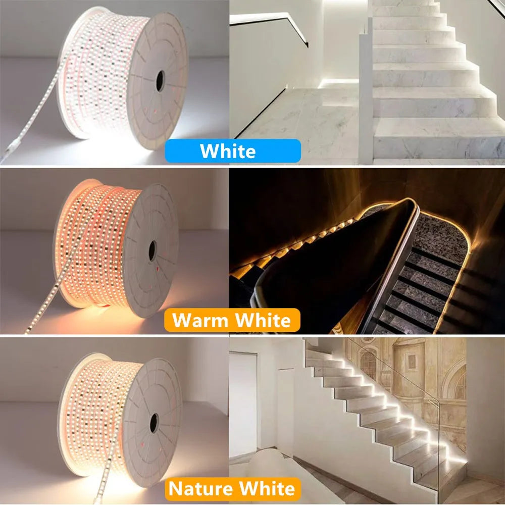 Ruban LED blanc chaud illuminant un jardin de nuit