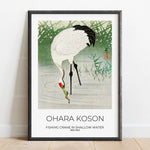 Une grâce de grue de pêche dans les eaux peu profondes, une œuvre traditionnelle japonaise d'Ohara Koson.