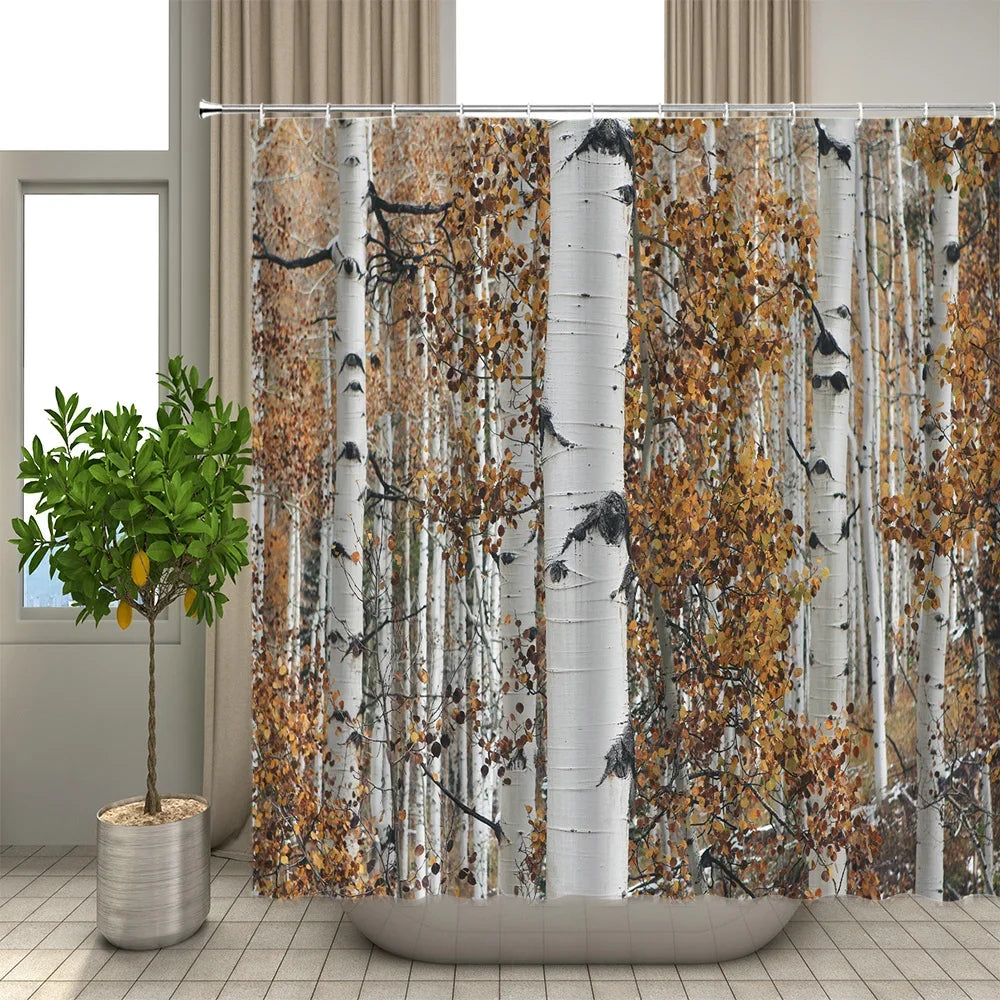 Rideau de douche aux motifs réalistes de troncs de bouleaux en automne, suspendu devant une baignoire, avec un citronnier en pot sur le côté.