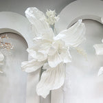 Détail pétales fleur iris papier blanc