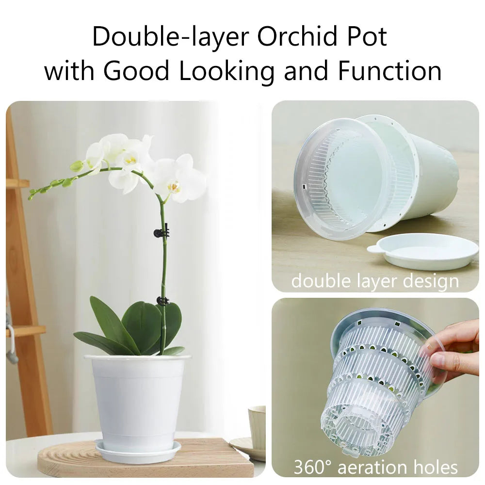 Cache-pot double couche avec plantes succulentes en intérieur