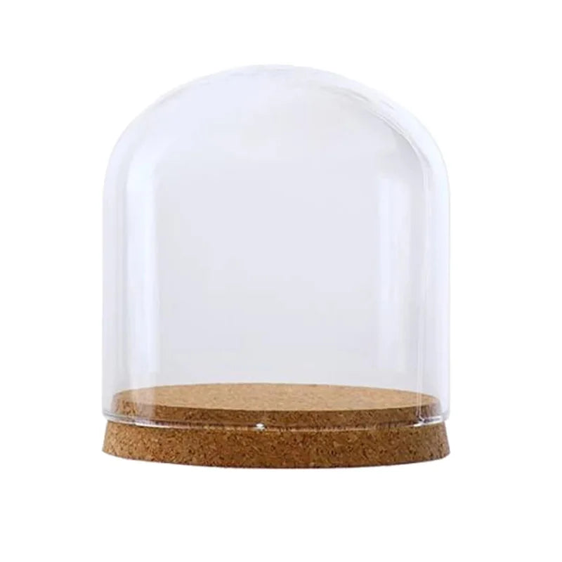 Terrarium en verre utilisé comme décoration avec plantes succulentes