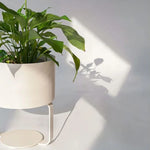 Support de plantes violet, étagère métallique pour salon ou bureau
