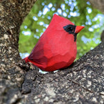Décoration chambre oiseau rouge bois massif