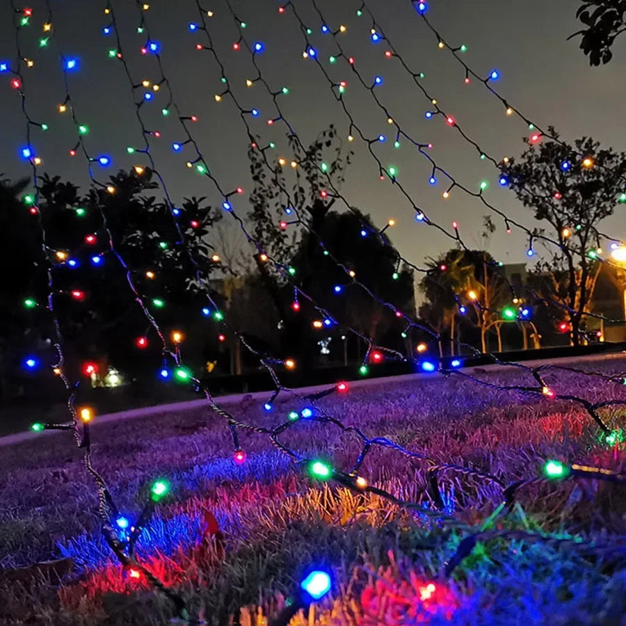 Détail des ampoules LED de la guirlande