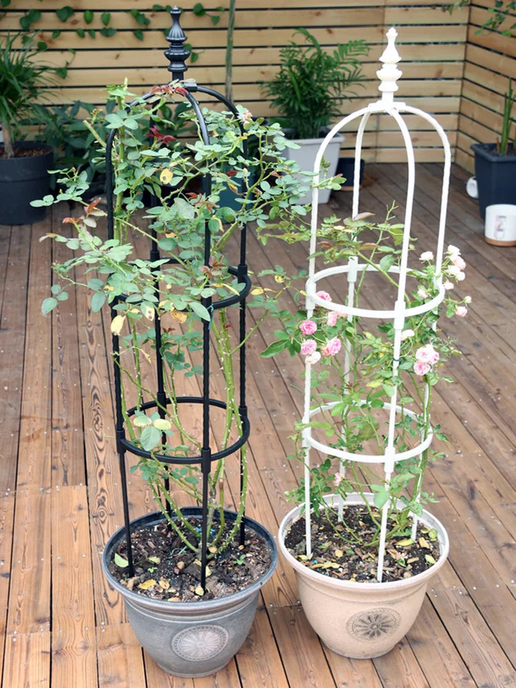 Support pour plantes grimpantes en métal noir dans un salon moderne