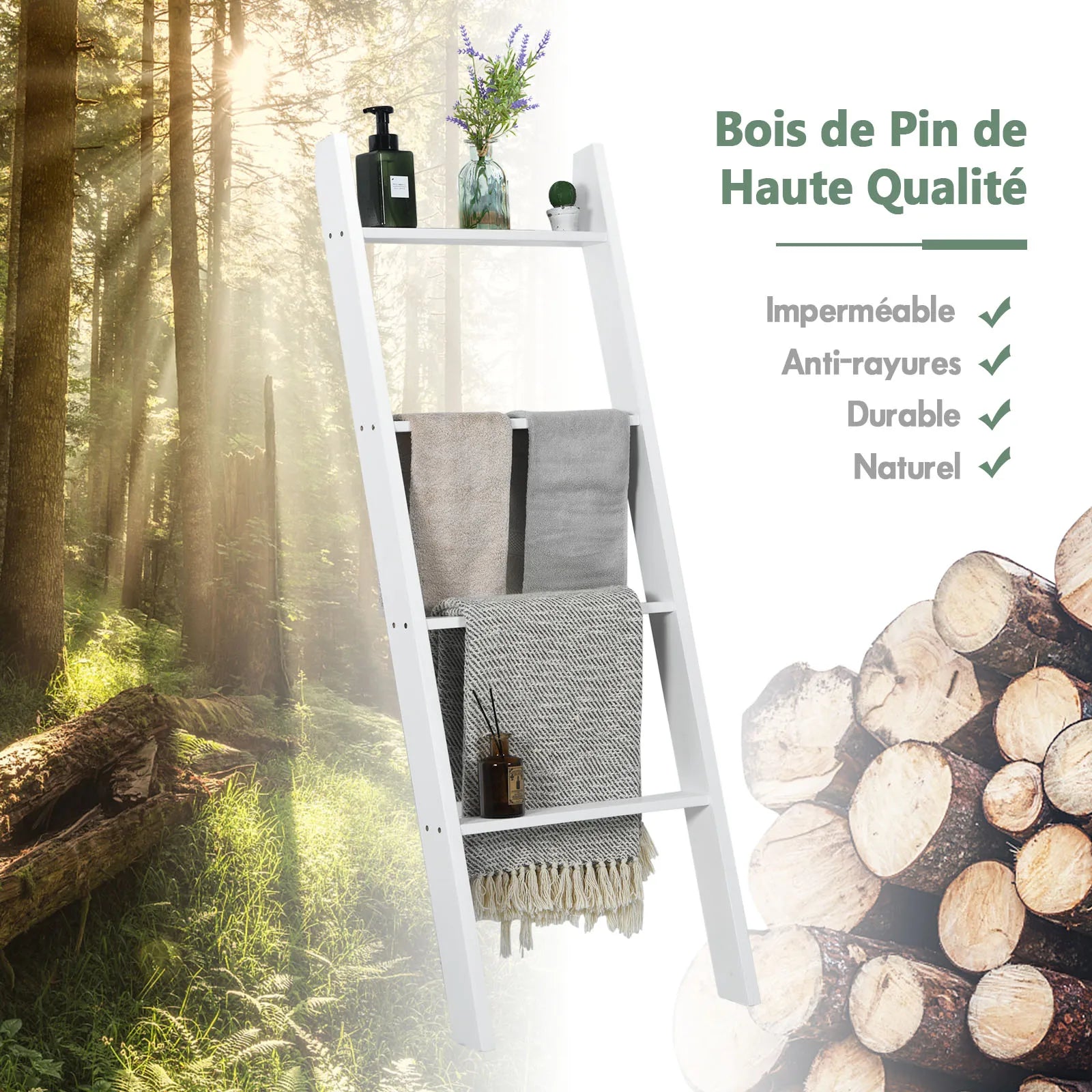 Étagère échelle blanche utilisée comme rangement décoratif dans un salon