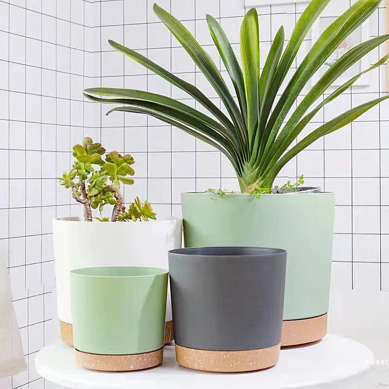 Pot de fleur intérieur circulaire blanc avec plantes succulentes