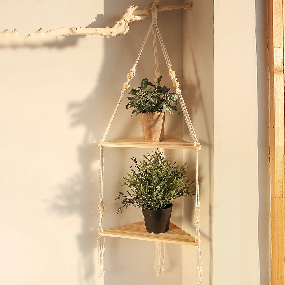 Étagère suspendue pour plantes et cadres photo dans un salon