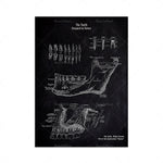 L'image montre des illustrations détaillées des dents, avec des étiquettes décrivant leur structure et leur fonction. Il s'agit d'une représentation anatomique de la dentition humaine, conçue par la nature.