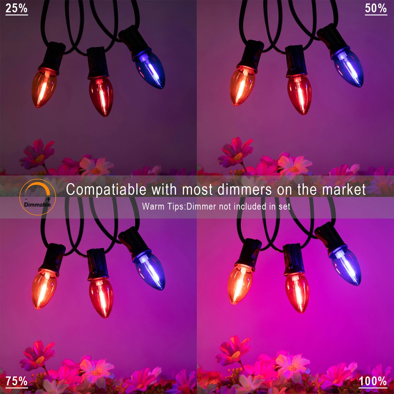 Guirlande lumineuse Noël extérieur C7 connectable jardin