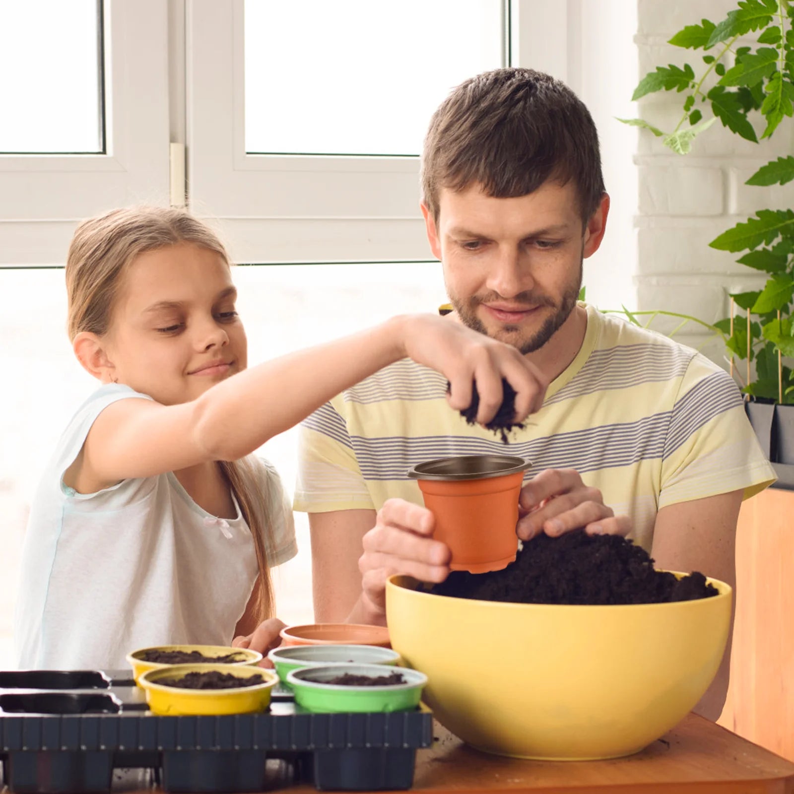 Pots de plantes rouges sur étagère pour décoration végétale
