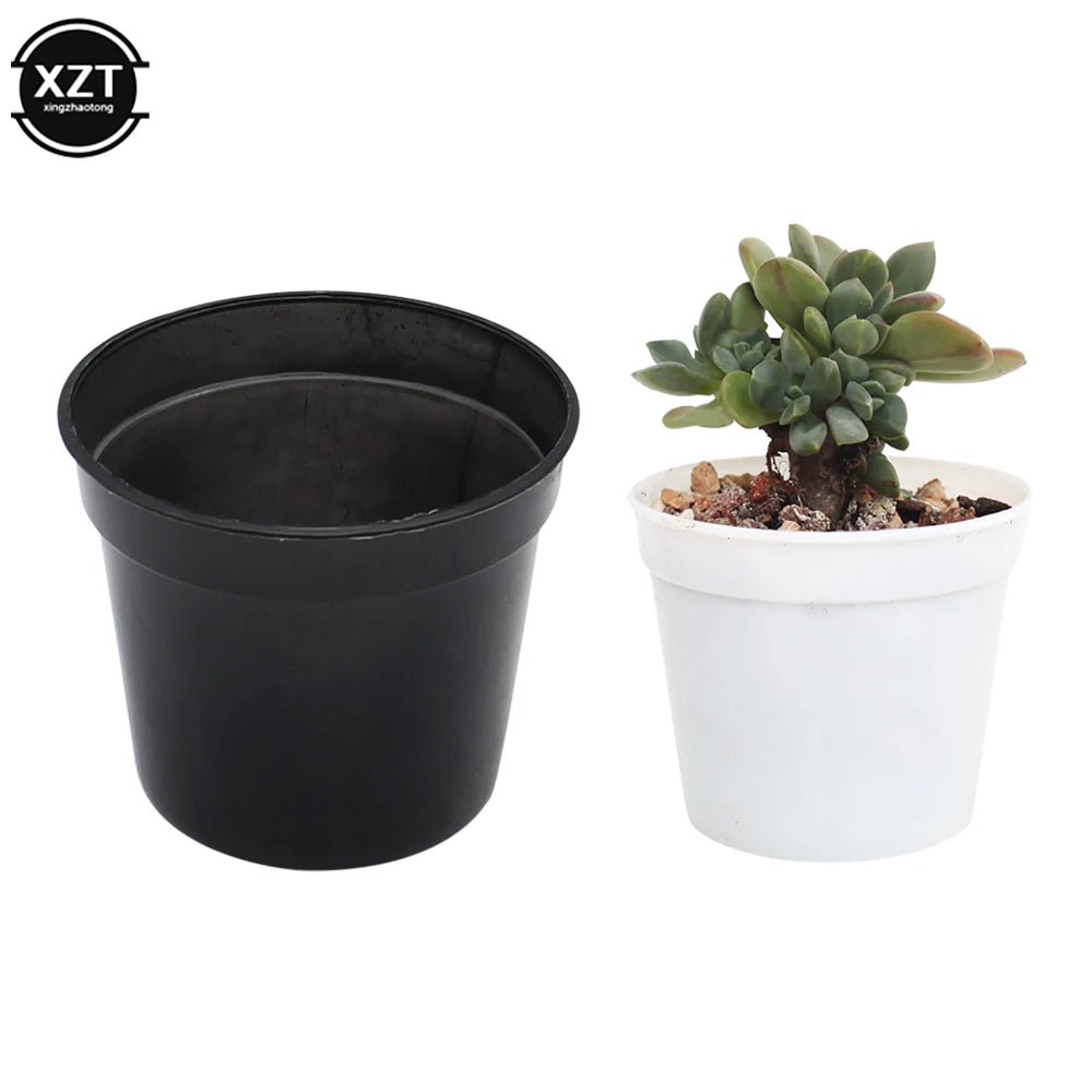 Mini pot pour plantes grasses intérieur