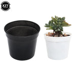 Mini pot pour plantes grasses intérieur